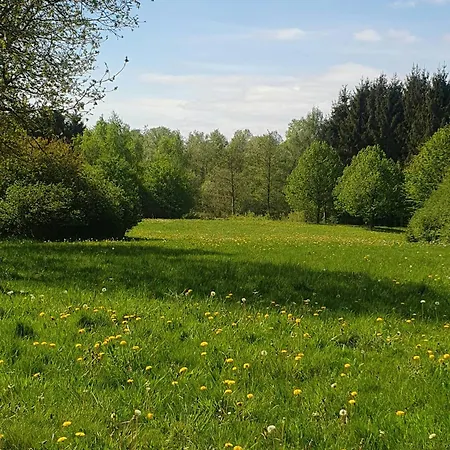 Converted Factory From 1950 With Its Own Forest Hadsund
