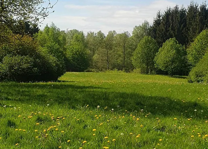 Converted Factory From 1950 With Its Own Forest Hadsund